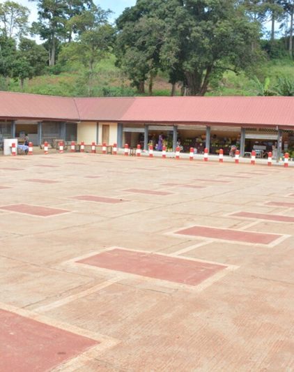 Le parcours vita de Yaoundé a son marché de fruits