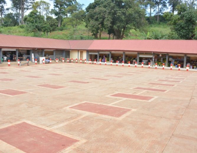 Le parcours vita de Yaoundé a son marché de fruits